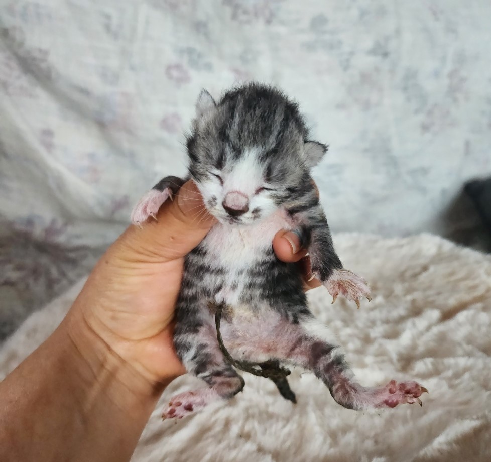 울산유기동물보호센터_431369202300282